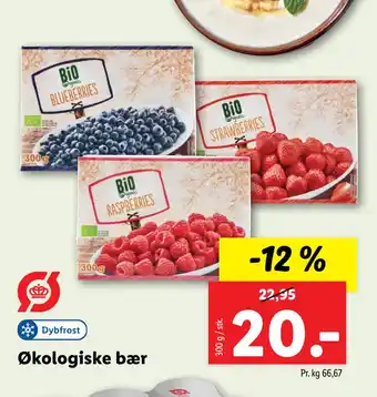Lidl Økologiske bær tilbud
