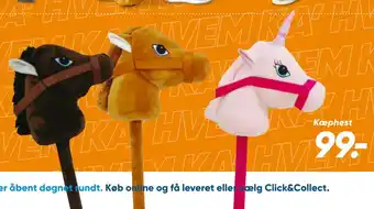 Kæphest
