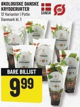 Løvbjerg Økologiske Danske Krydderurter tilbud