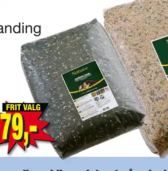 Harald Nyborg Solsikkefrø tilbud