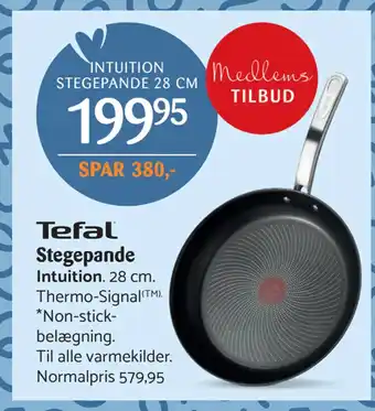 Kop & Kande Stegepande tilbud