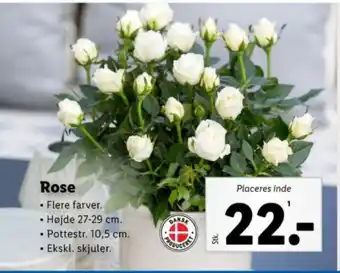 Lidl Rose tilbud