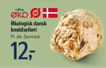 Føtex Økologisk dansk knoldselleri tilbud