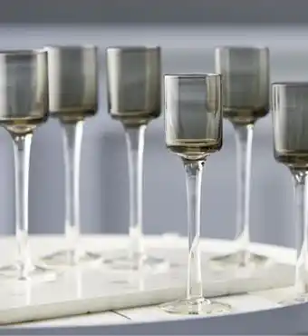 Lyngby Glas, 6 Ens Snapsegls