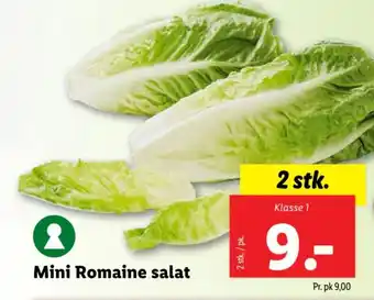 Lidl Mini Romaine salat tilbud