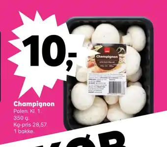 Champignon