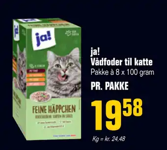 Poetzsch Padborg ja! Vådfoder til katte tilbud