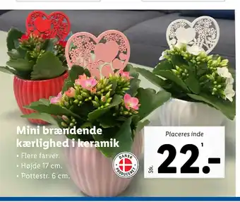 Lidl Mini brændende kærlighed i keramik tilbud