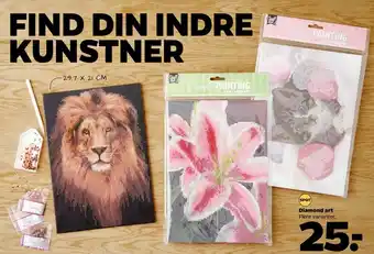 Netto Diamond art tilbud