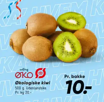 Bilka Økologiske kiwi tilbud