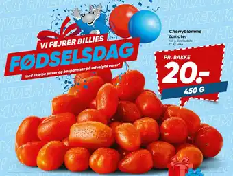 Bilka Cherryblomme tomater tilbud