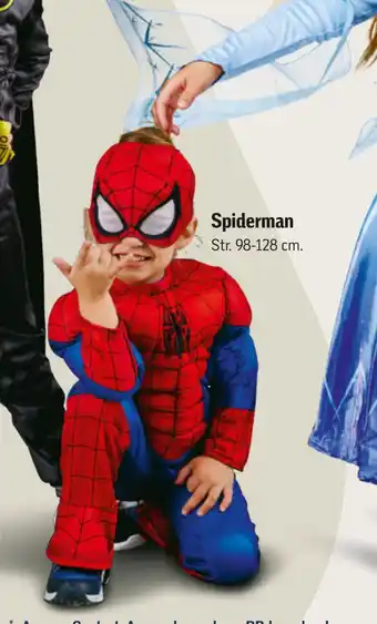 Spiderman