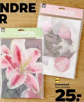 Netto Diamond art tilbud