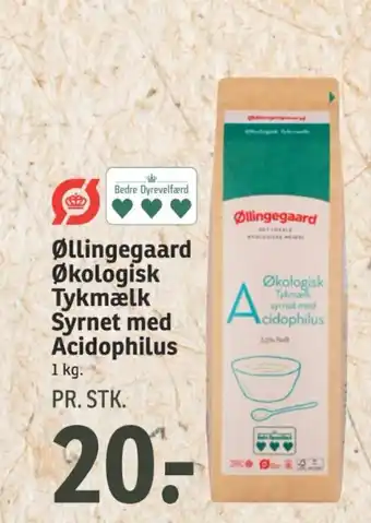 SPAR Øllingegaard Økologisk Tykmælk Syrnet med Acidophilus tilbud