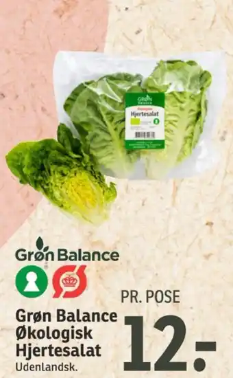 SPAR Grøn Balance Økologisk Hjertesalat tilbud