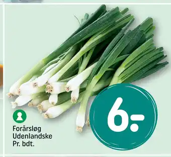 REMA 1000 Forårsløg Udenlandske Pr. bdt tilbud