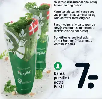 Dansk persille i potte Pr. stk