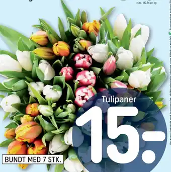 REMA 1000 Tulipaner tilbud