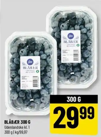 Løvbjerg BLÅBÆR 300 G tilbud