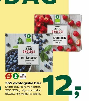Coop 365 365 økologiske bær tilbud