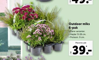 Let-Køb Outdoor miks 6-pak tilbud