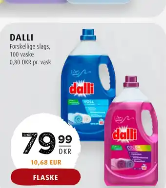 Scandinavian Park DALLI tilbud