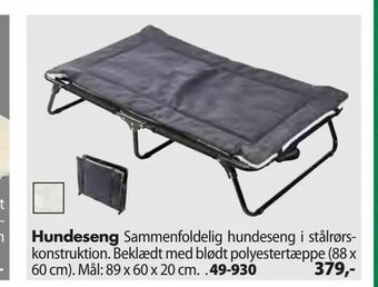 Hundeseng