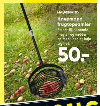 Havemand frugtopsamler