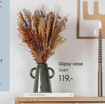 Bilka Gipsy vase tilbud