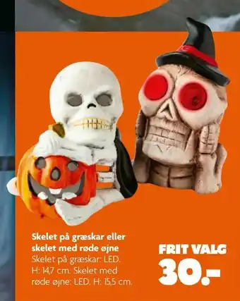 Skelet på græskar eller skelet med røde øjne