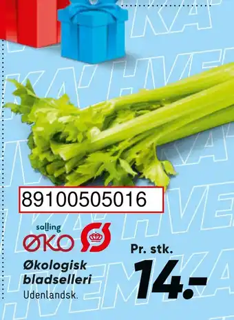 Wupti Økologisk bladselleri tilbud