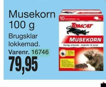 Musekorn 100 g