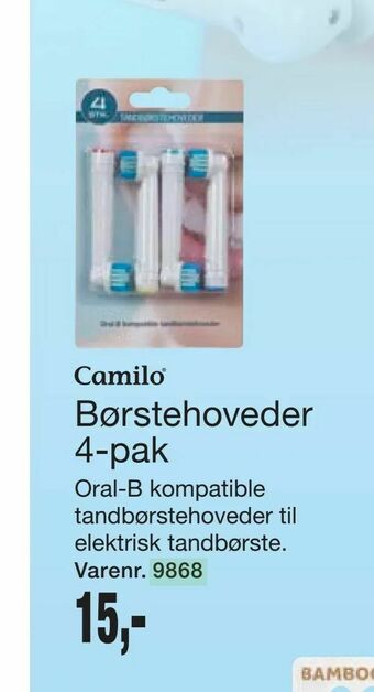 Børstehoveder