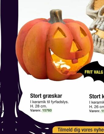 Harald Nyborg Stort græskar tilbud