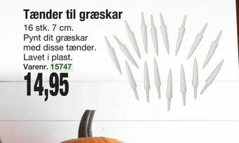 Harald Nyborg Tænder til græskar tilbud