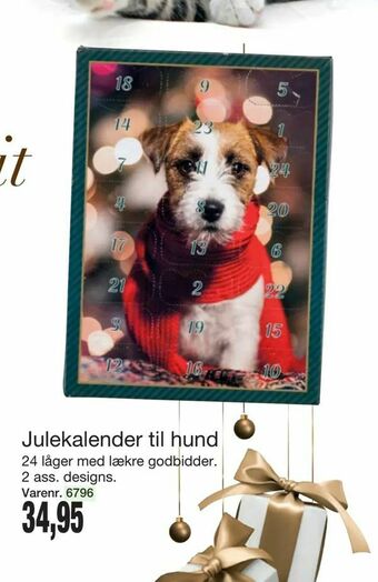 Harald Nyborg Julekalender til hund tilbud