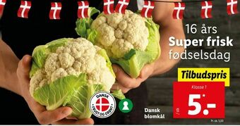 Let-Køb Dansk blomkål tilbud
