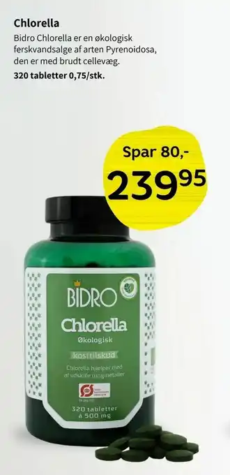 Chlorella