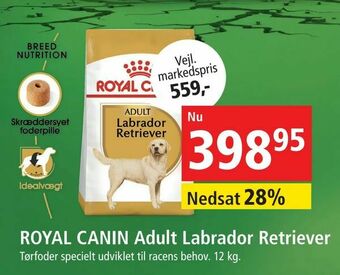 Maxi Zoo ROYAL CANIN Adult Labrador Retriever tilbud