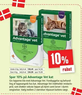 Advantage Vet kat