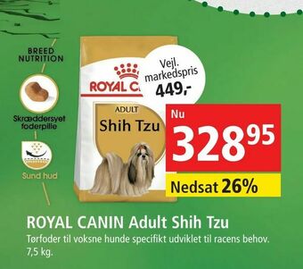 Maxi Zoo ROYAL CANIN Adult Shih Tzu tilbud