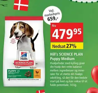 Hill‘s SCIENCE PLAN Puppy Medium