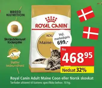 Maxi Zoo Royal Canin Adult Maine Coon eller Norsk skovkat tilbud