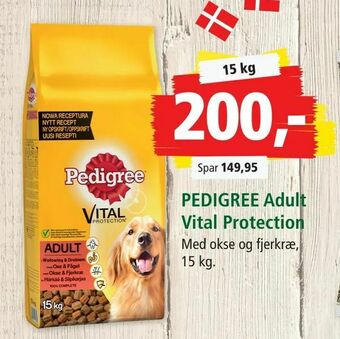 Maxi Zoo PEDIGREE Adult Vital Protection tilbud