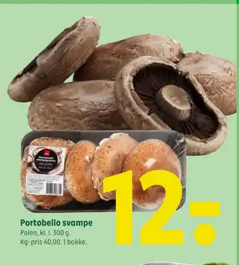 Portobello svampe