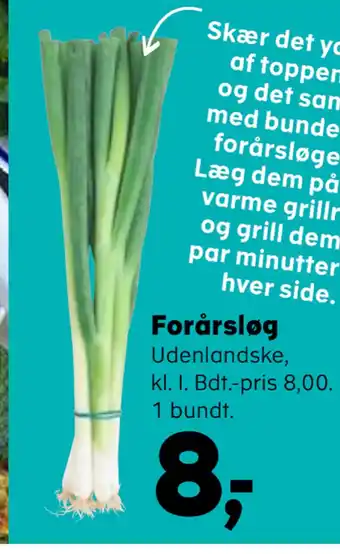 SuperBrugsen Forårsløg tilbud