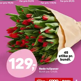 SuperBrugsen Røde tulipaner tilbud