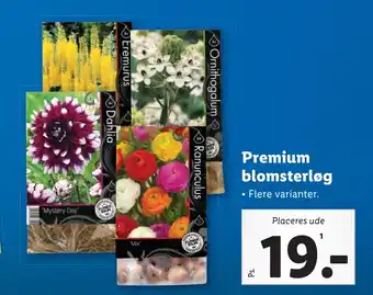 Lidl Premium blomsterløg tilbud