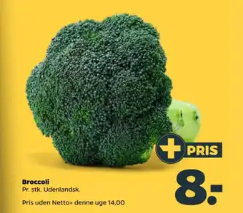Netto Broccoli tilbud