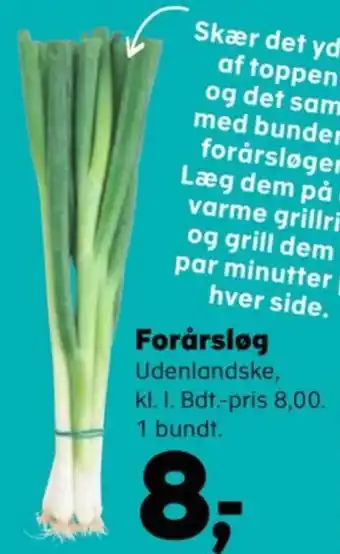 Kvickly Forårsløg tilbud